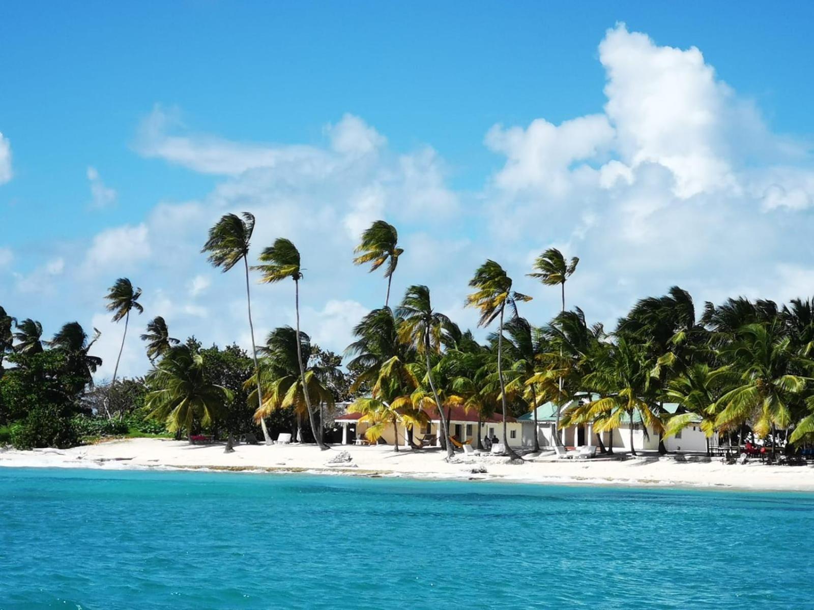 Saona Beach House - Bed And Breakfast Mano Juan 外观 照片
