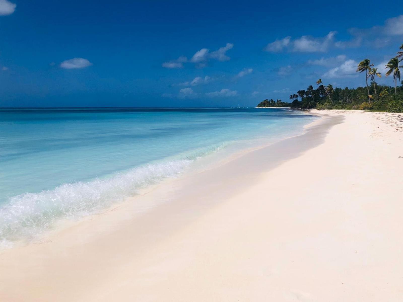 Saona Beach House - Bed And Breakfast Mano Juan 外观 照片