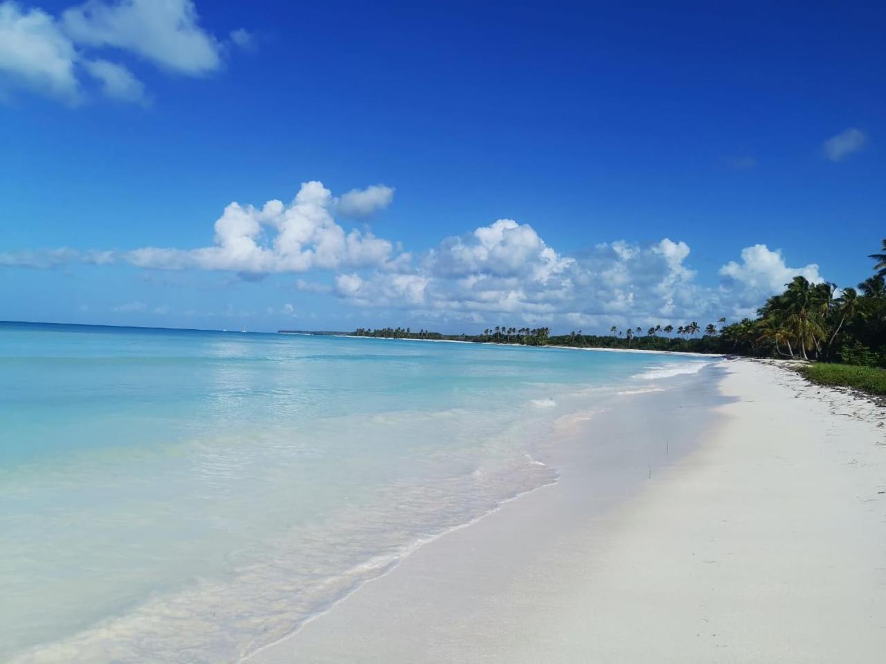Saona Beach House - Bed And Breakfast Mano Juan 外观 照片
