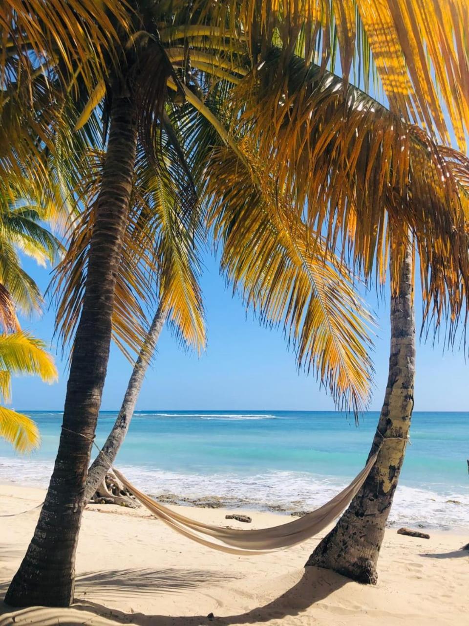 Saona Beach House - Bed And Breakfast Mano Juan 外观 照片