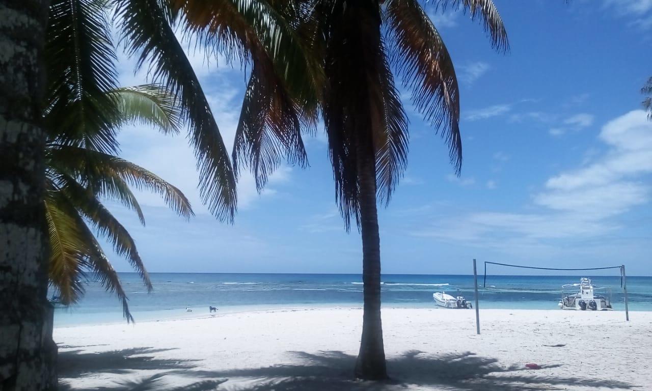 Saona Beach House - Bed And Breakfast Mano Juan 外观 照片